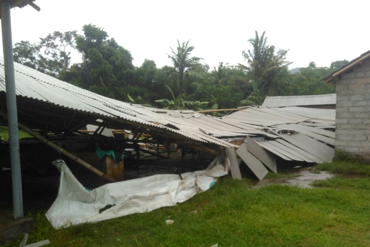 Tiga Kecamatan di Jember Diterjang Angin Puting Beliung