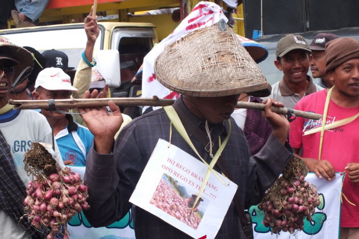 Petani tuntut pemerintah stabilkan harga bawang merah