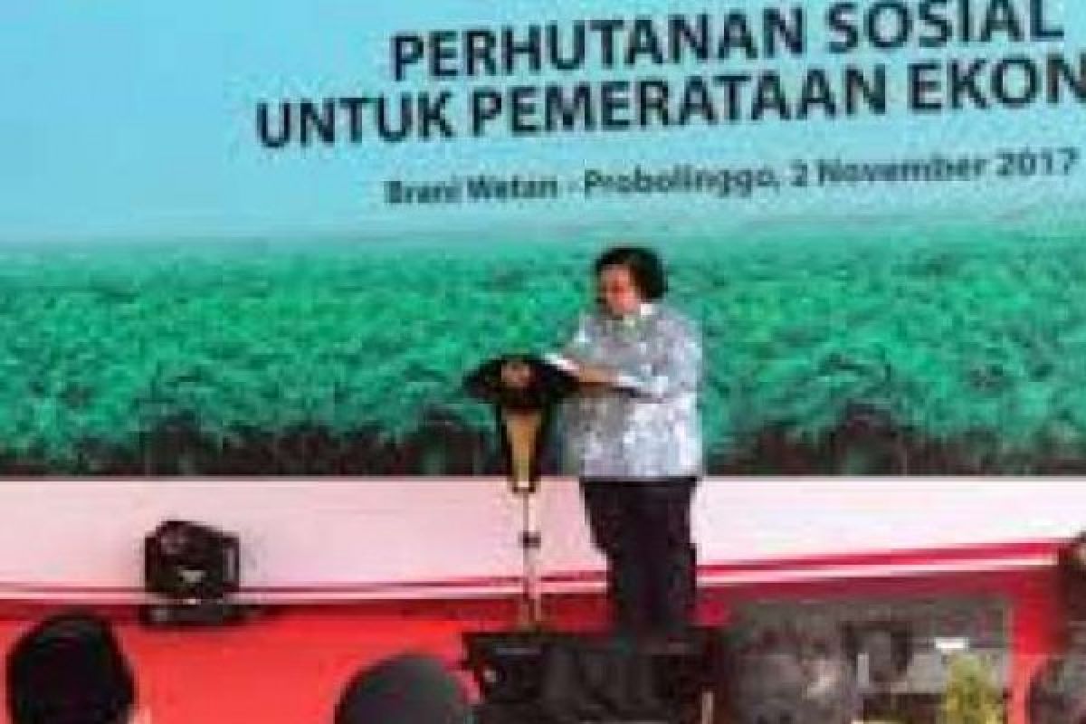 Pokja Perhutanan Sosial Riau Belum Terbentuk, Ini Tanggapan KLHK