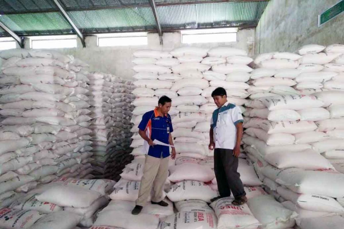 99,84 Persen Pupuk Urea Bersubsidi di Jember Terserap Petani