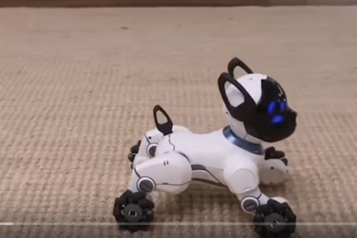 Kembali hadir Robot anjing Aibo