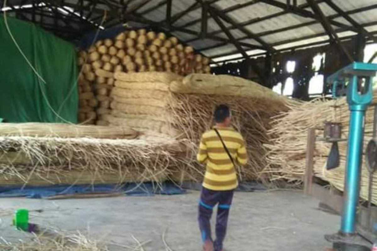 Petani rotan Seruyan terima mesin pengolah rotan