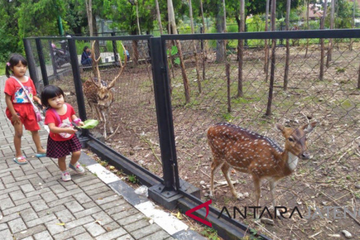 Rusa di taman hutan Rumdis Bupati Boyolali bertambah