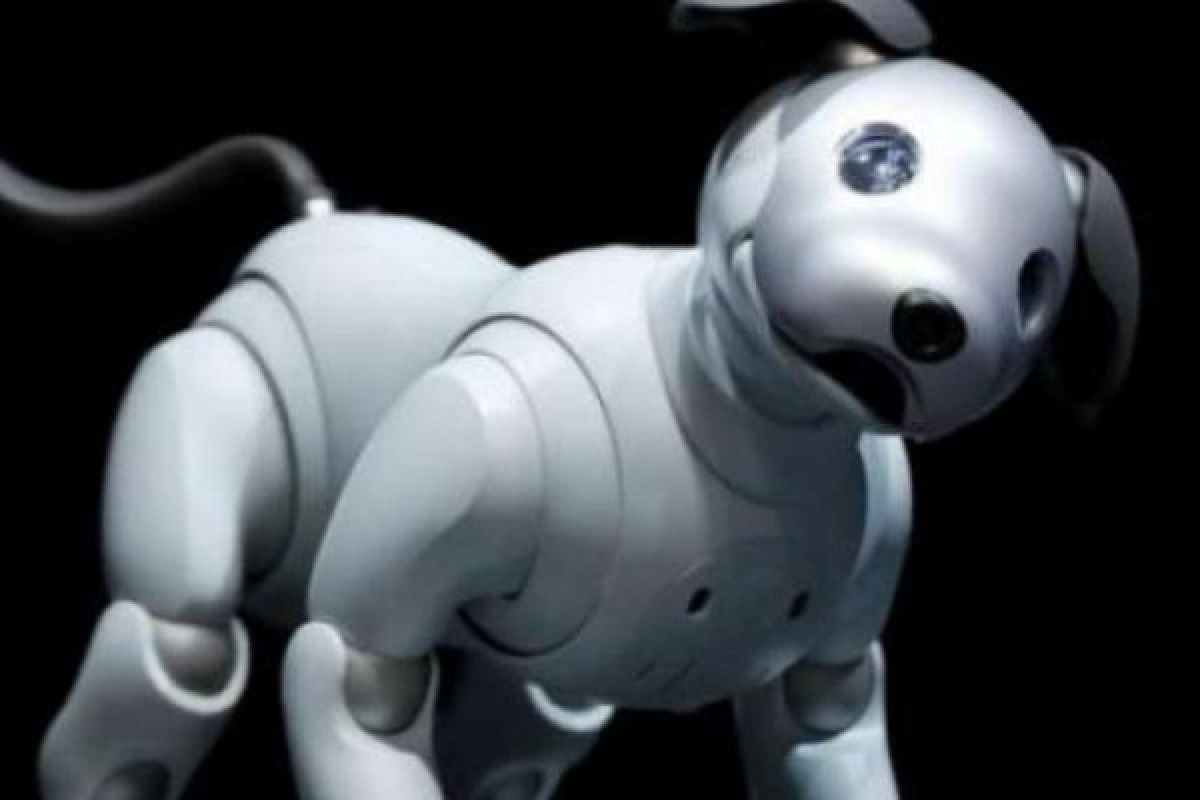 Sony Akhirnya Kembali Hadirkan Robot Anjing Aibo