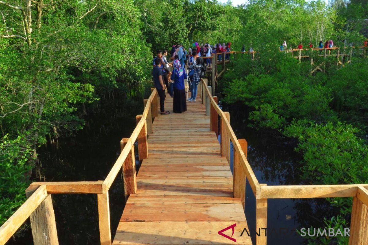 Hindari Kerusakan, DPRD Usulkan Pembatasan Jumlah Pengunjung Tracking Mangrove Pariaman