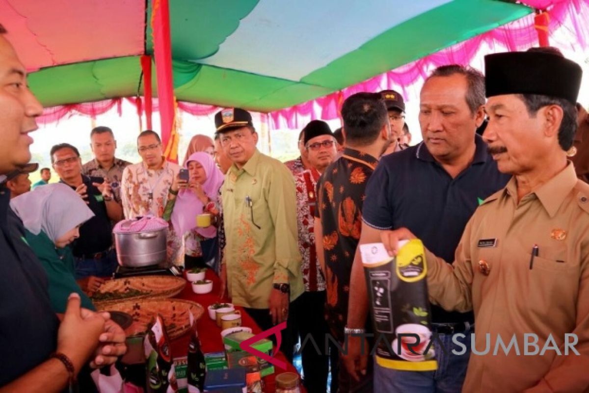 HUT ke-14 Solok Selatan Momentum Untuk Evaluasi, kata Bupati