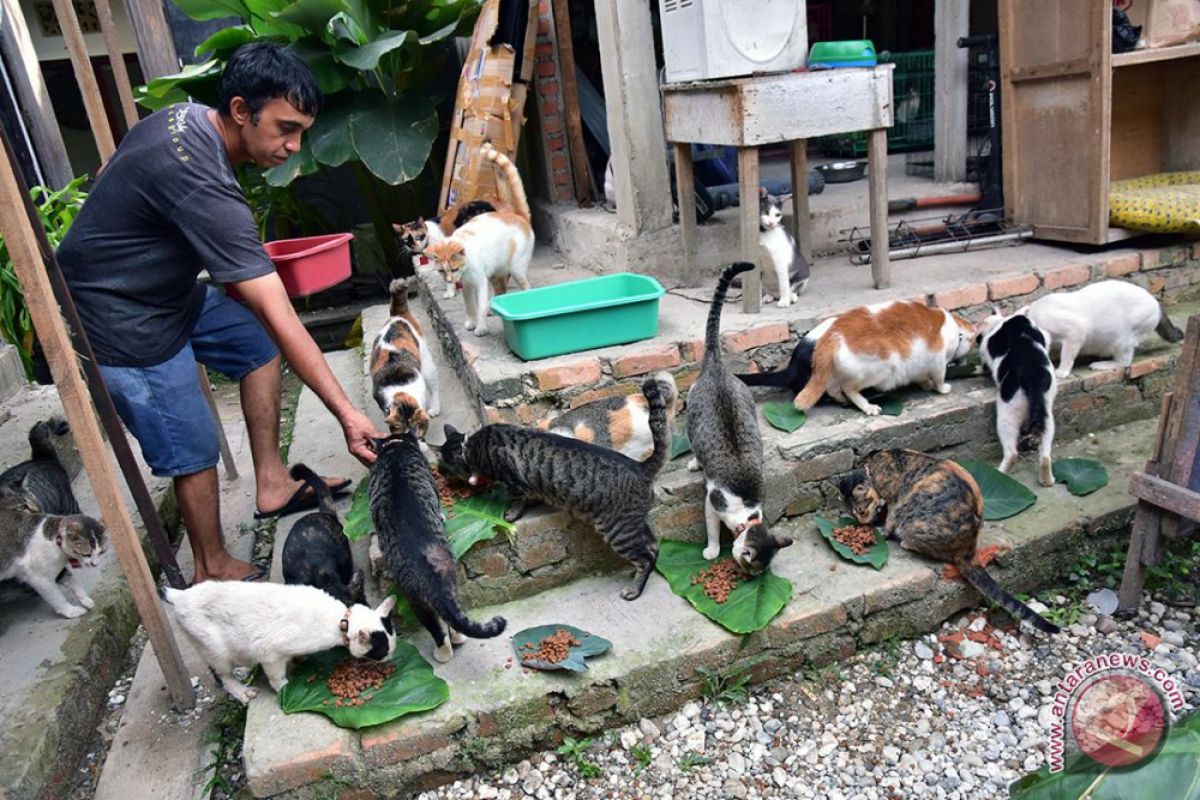 Penerapan UU Perlindungan Hewan di Indonesia dinilai lemah