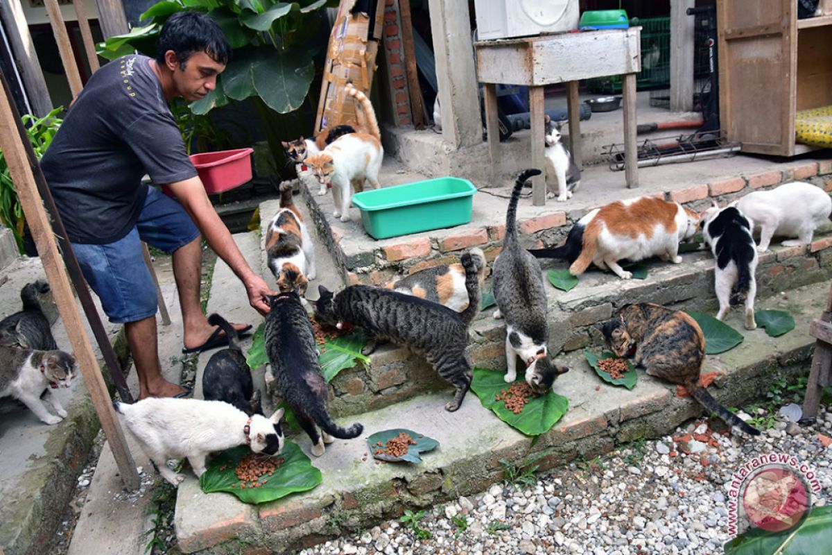 Garda Satwa apresiasi penindakan pelaku pemakan kucing di Kemayoran