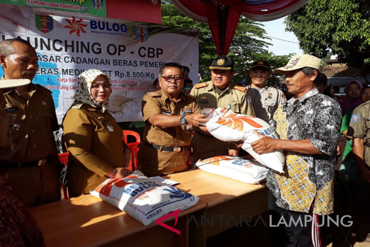 Pemkab Waykanan gelar OP beras