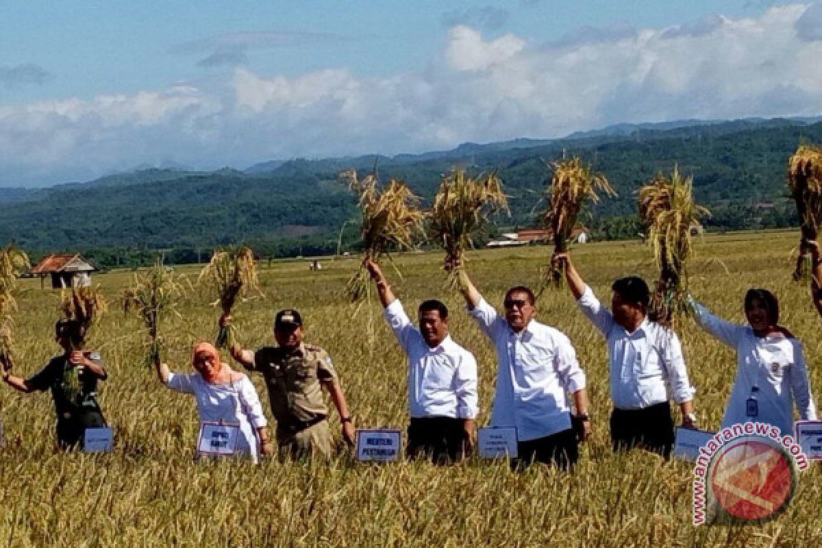 Mentan sebut produksi beras Jabar 800.000 ton