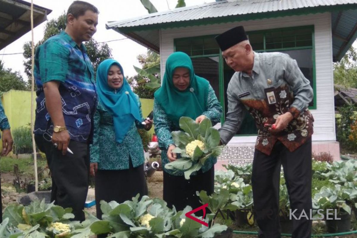 Manfaatkan Pekarangan Untuk Tanaman Bermanfaat