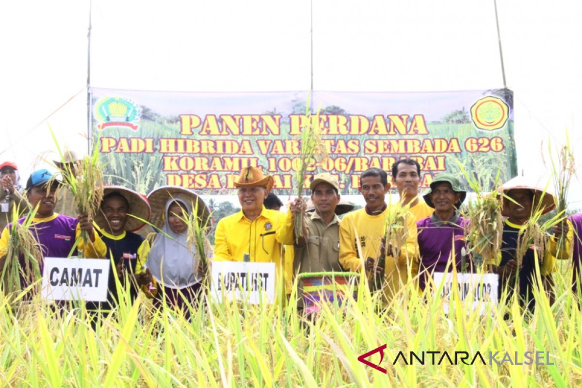 Sembada 626 Rice Planting Successful in HST