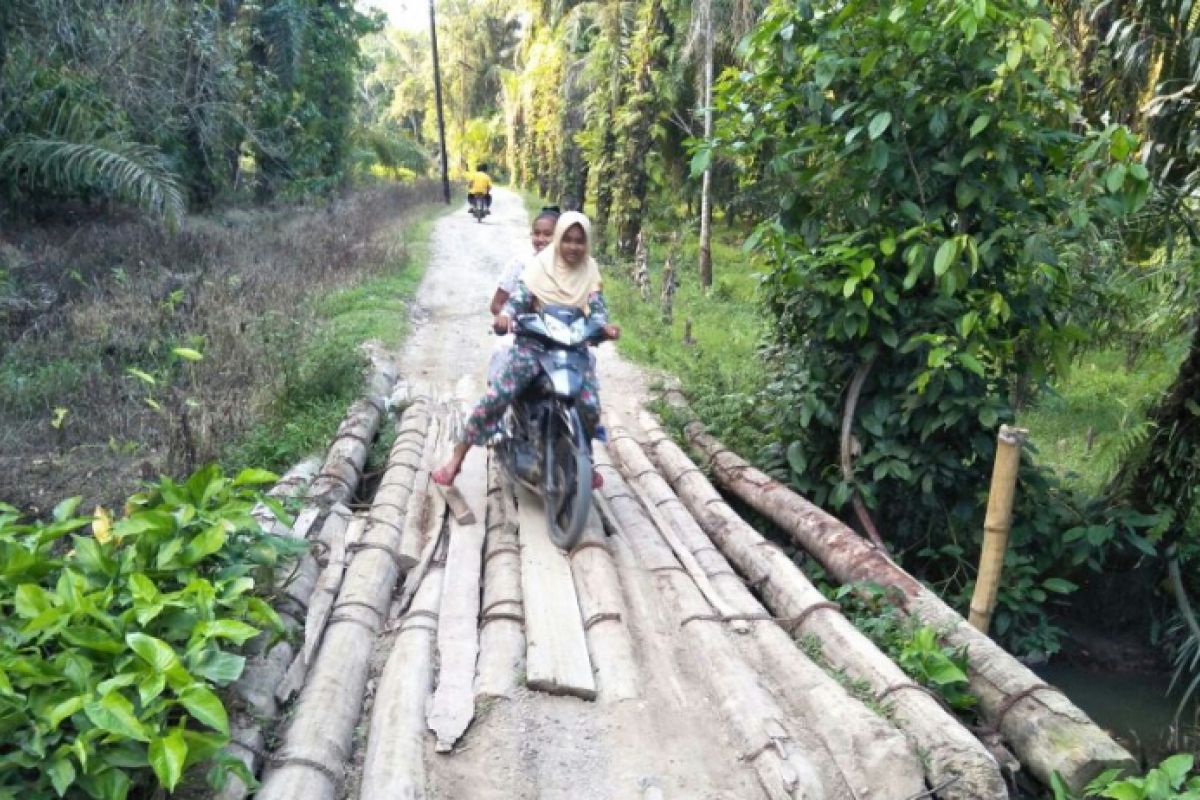 Tolong perbaiki jembatan Aekkanopan Timur