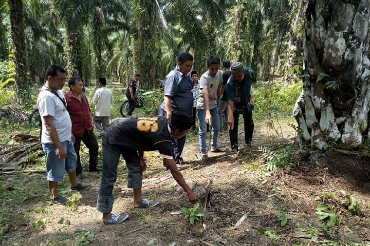 Mahasiswi tewas mengenaskan