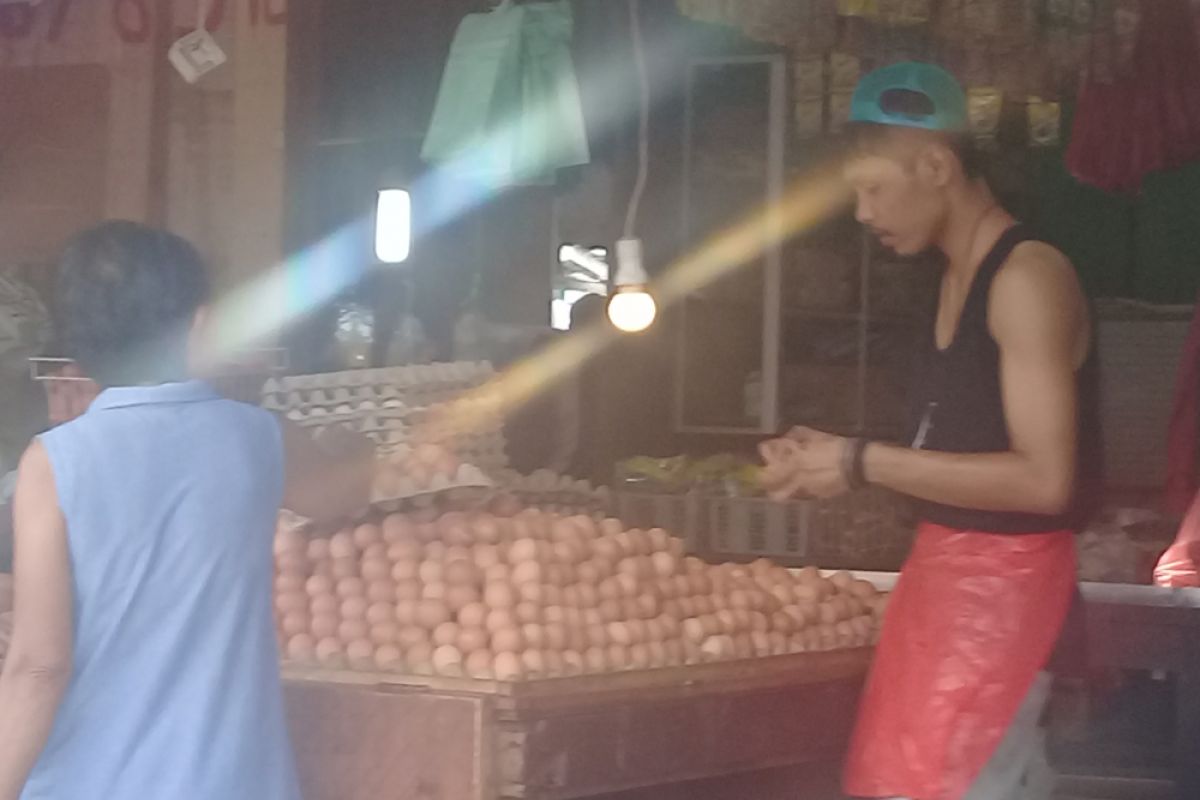 Harga telur ayam turun di Ambon
