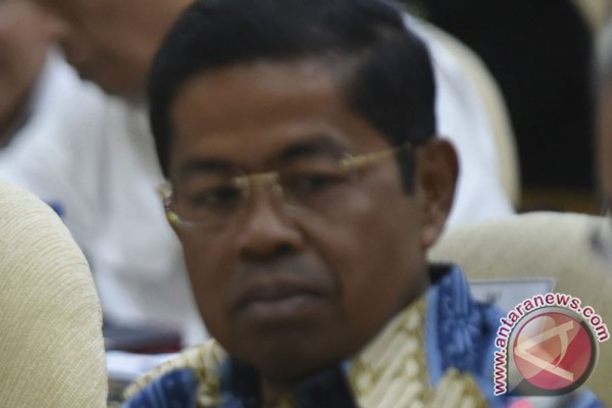 Mensos Idrus Marham beri dukungan untuk Setya Novanto