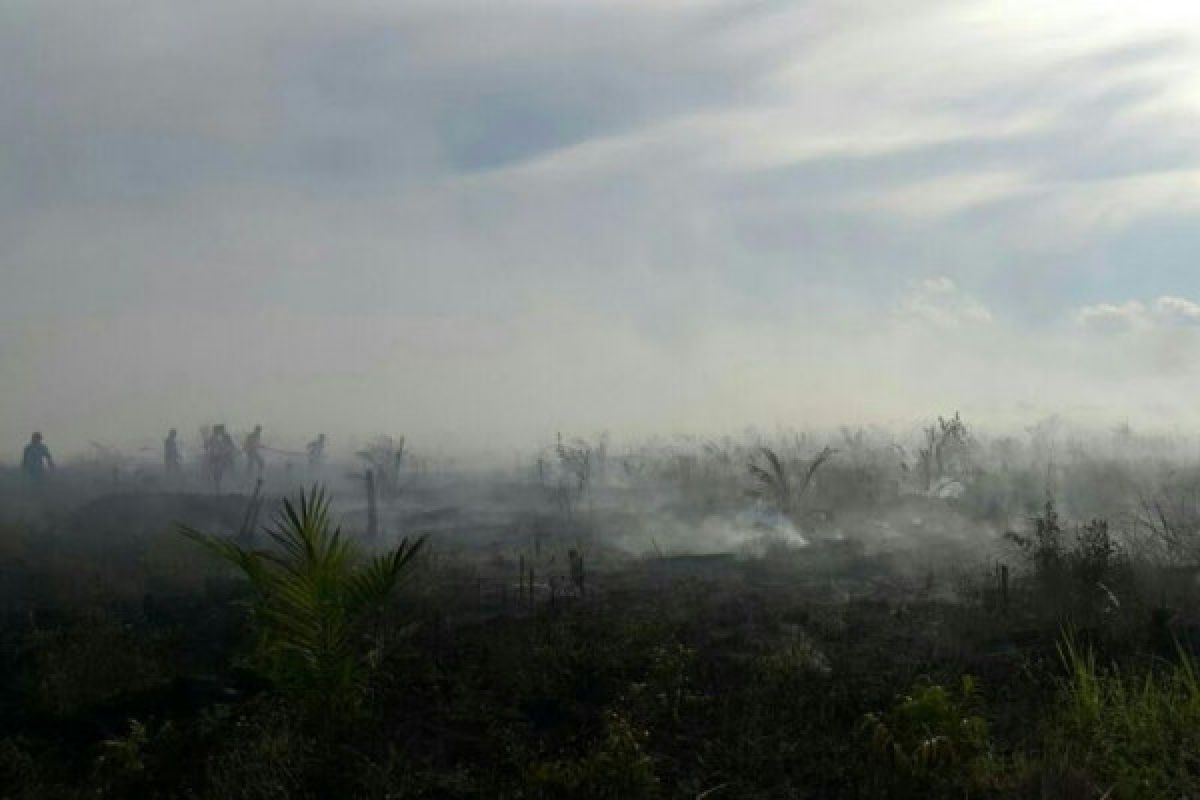 Masyarakat Kotim diimbau waspada kebakaran lahan di musim hujan