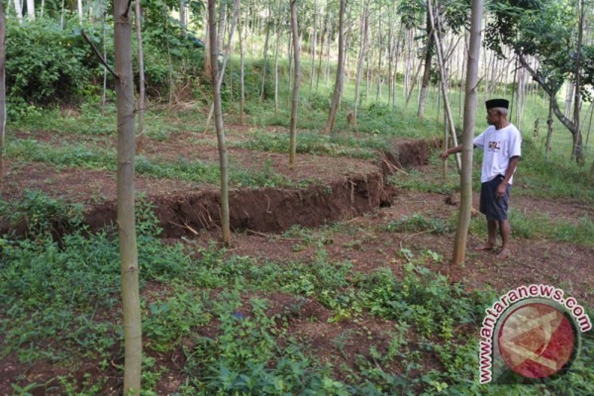 PVMBG sebut retakan tanah di Lebak  dapat picu longsor