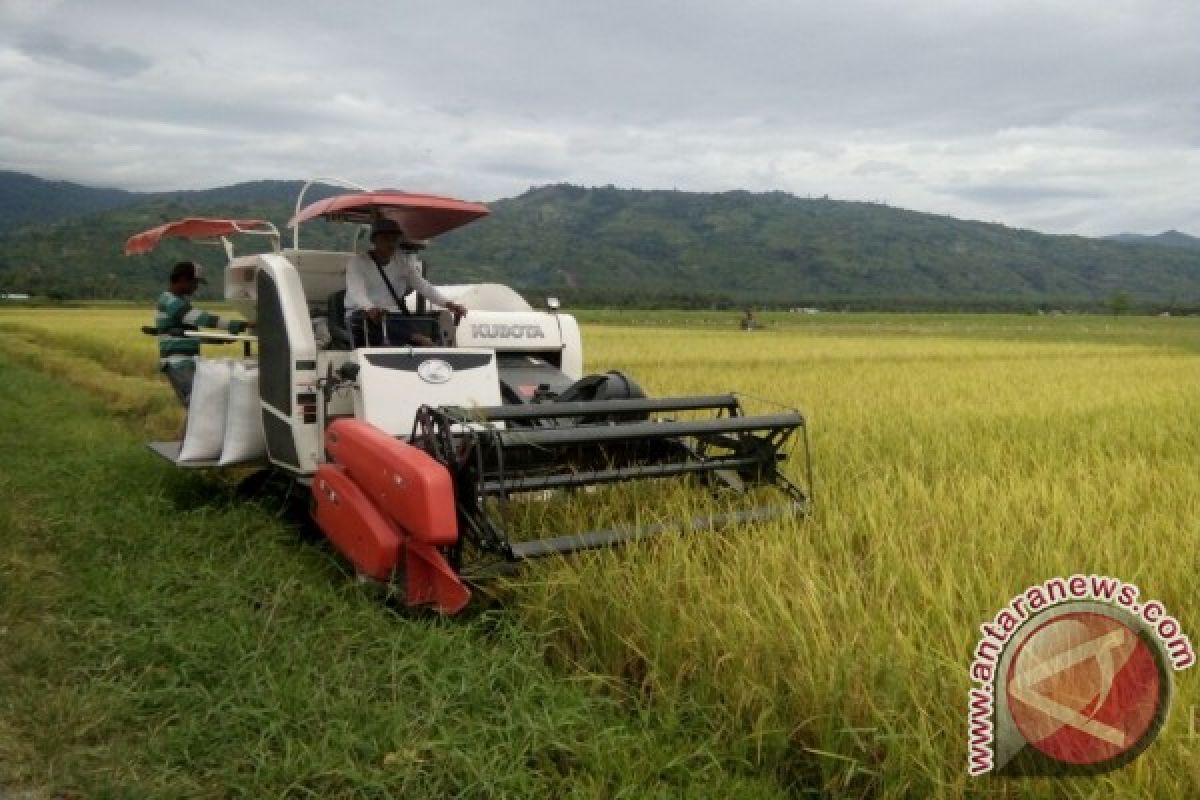 Kementan : Sulteng berpeluang tingkatkan luas tambah tanam