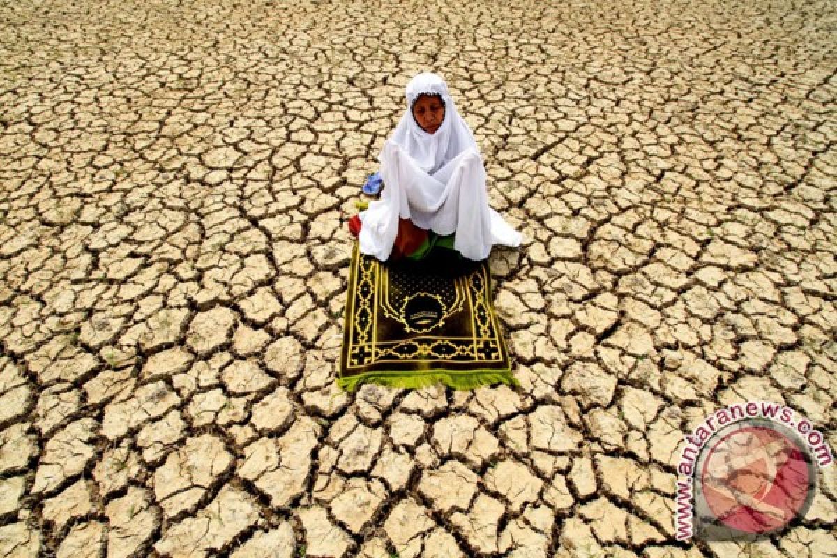 Ingin hujan, warga Aceh Utara baca Yaasin tujuh malam