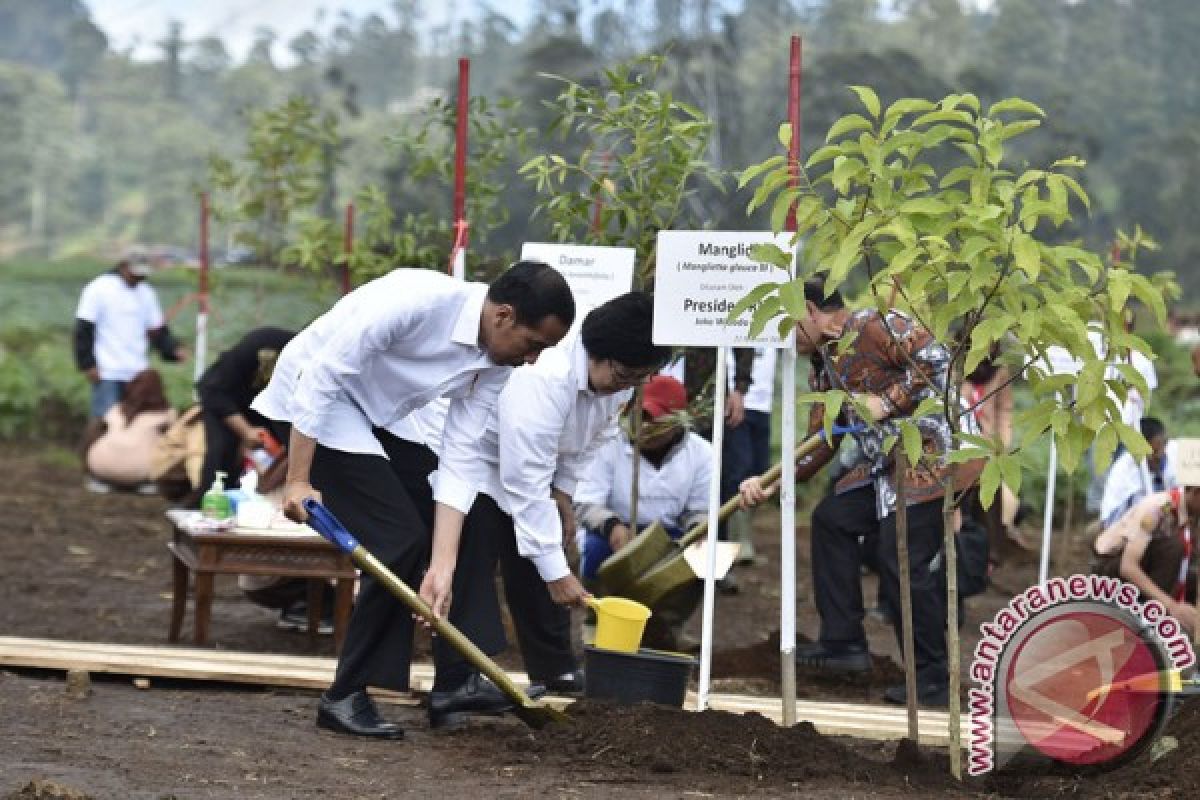 Satu juta pohon ditanam sepanjang DAS Citarum