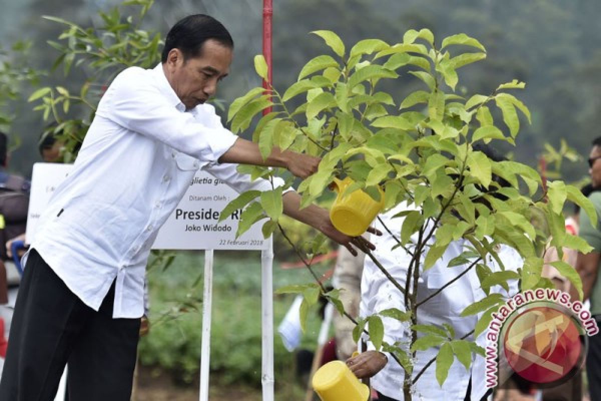 Citarum River bank normalization project to become role model: Widodo