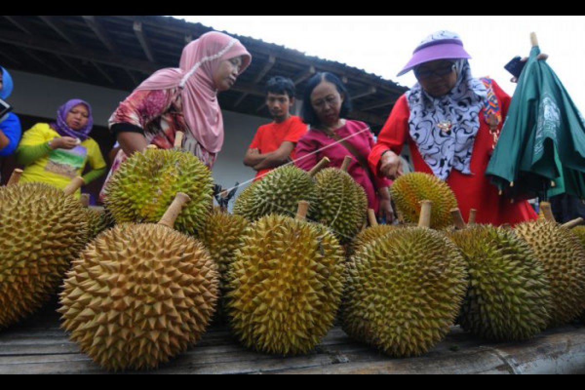 Distanbun Produksi Pertanian Perlu Dilokasikan Sentra Pemasaran