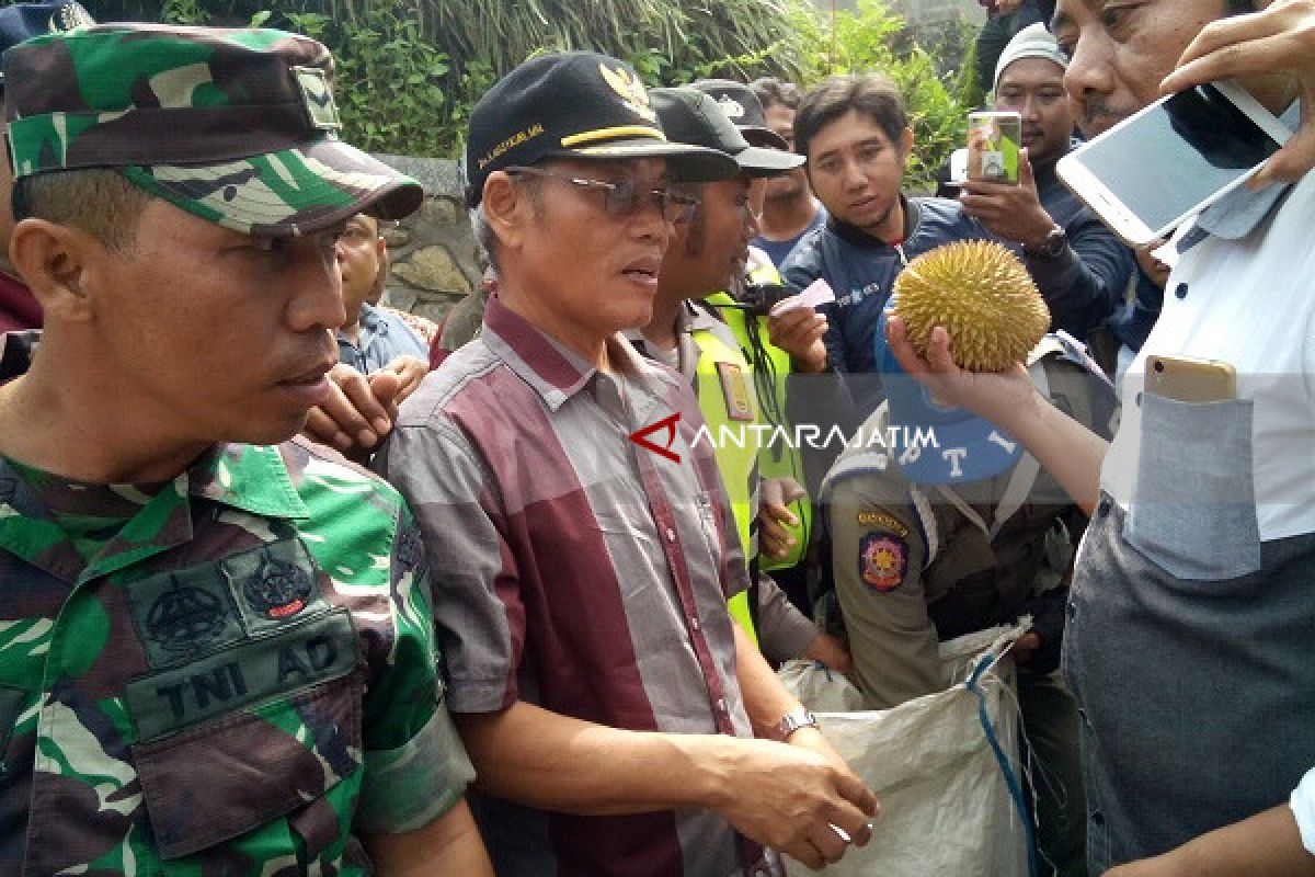 Ribuan Durian di Kediri Dibagikan Gratis (Video)