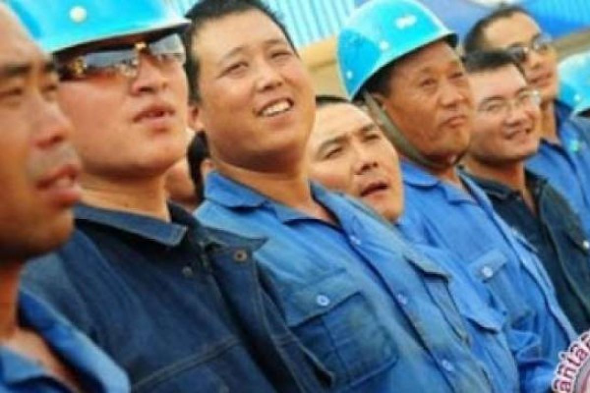 781 Tenaga Kerja Asing di Riau Didominasi China, Kenapa Bisa Demikian?