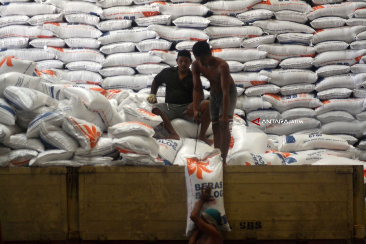 Sebanyak 500 ton beras tak layak konsumsi di Bulog