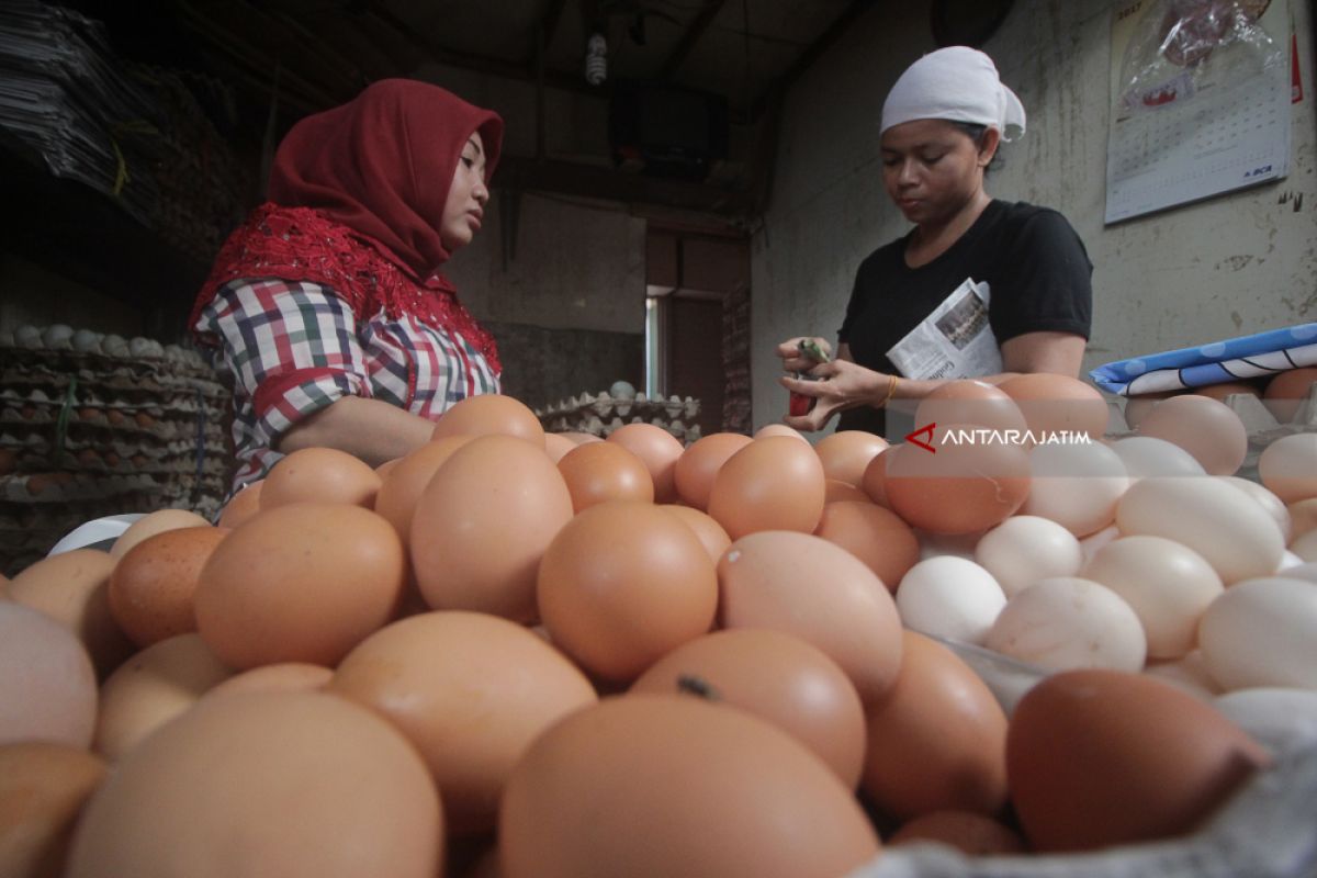 Harga Telur Ayam dan Sayur di Madiun Naik