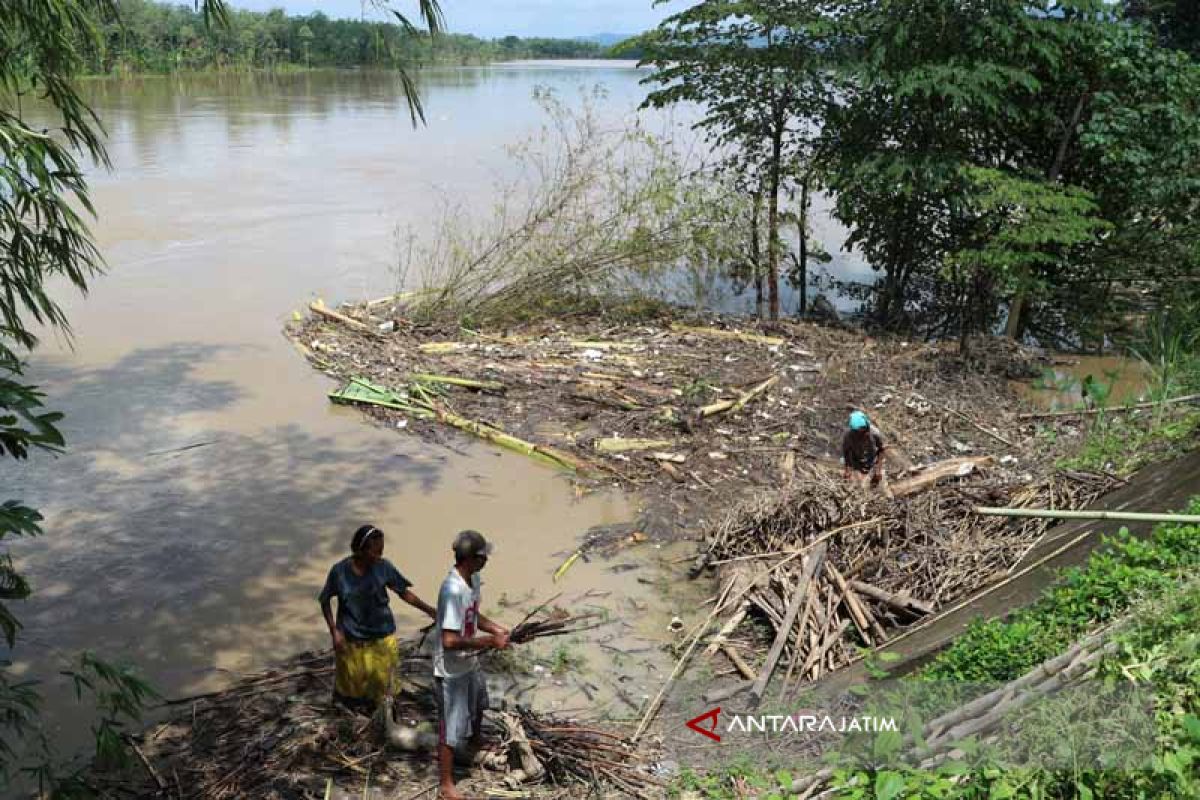 Bengawan Solo di Hilir Bojonegoro di Bawah Siaga Banjir