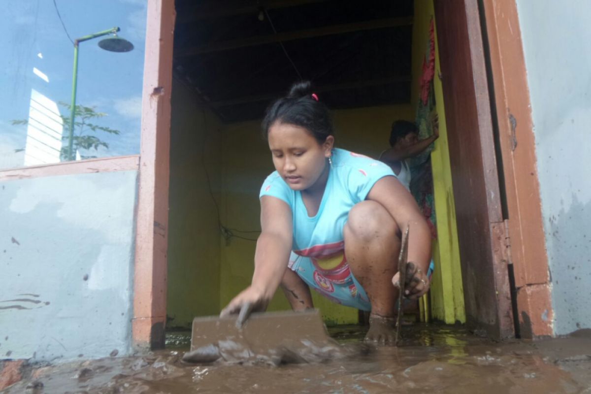 Puluhan Hektare Pertanian di Situbondo Rusak akibat Banjir