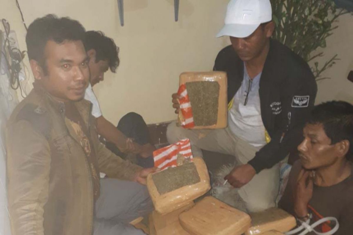 Empat pengedar narkoba ditangkap di Pasaman, amankan 47 paket besar ganja kering