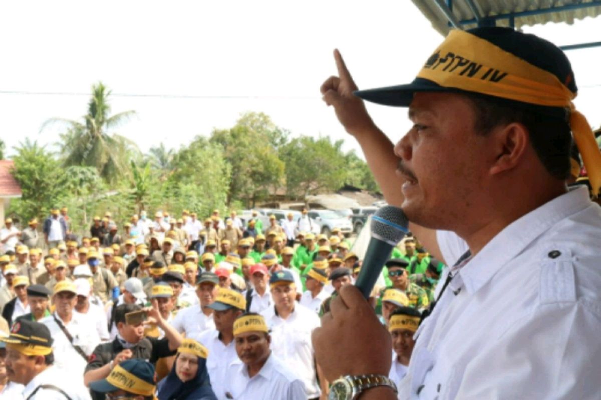 Karyawan PTPN IV mempertahankan kebun Dolok Ilir