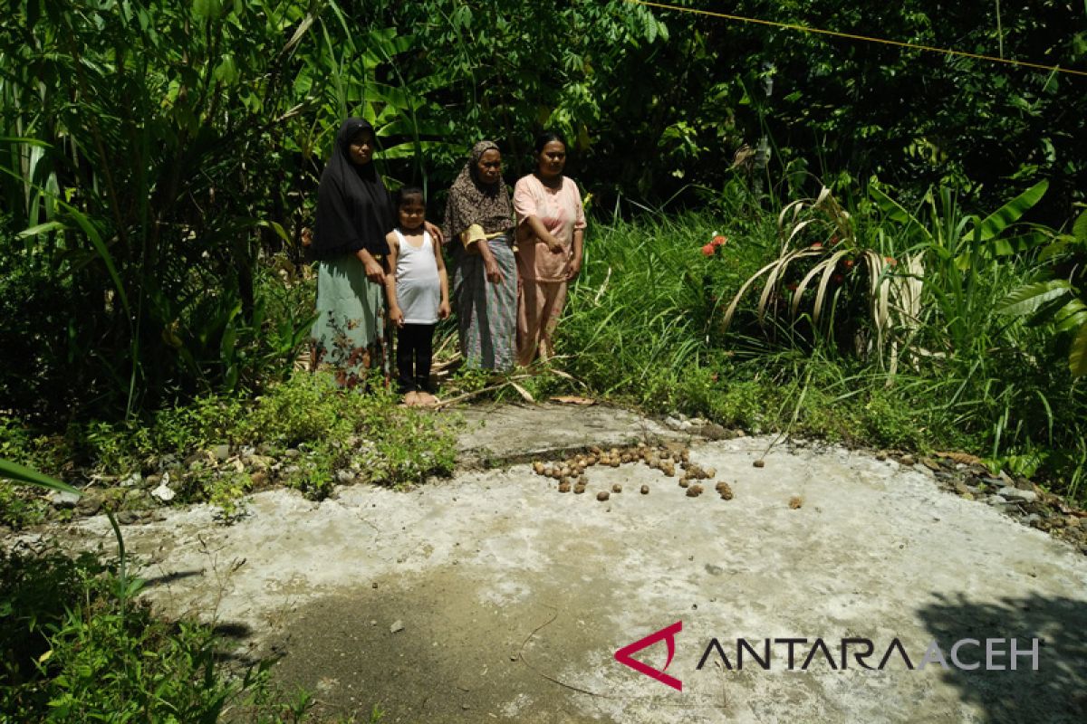 Pemkab belum realisasikan rumah bantuan janda