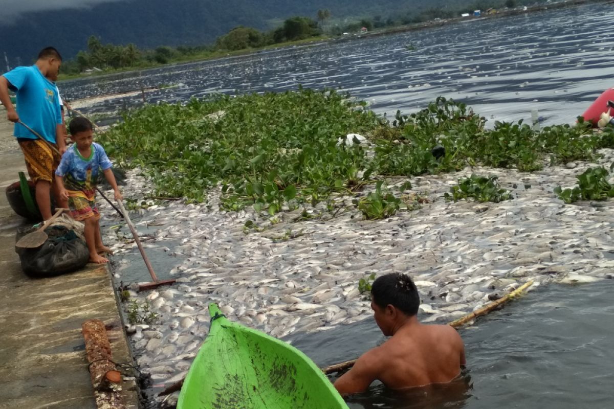 Rp1,2 triliun, kebutuhan dana  untuk sedot sendimen Danau Maninjau