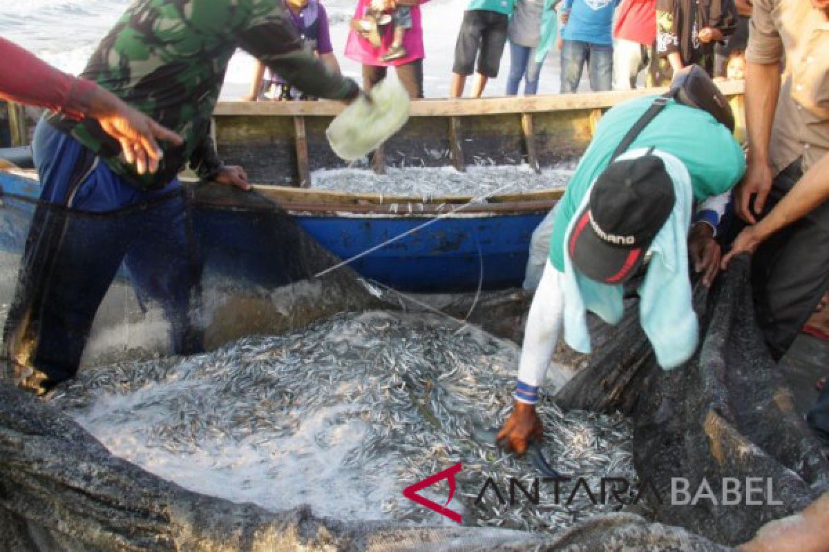 Nelayan jaring teri berharap kemudahan perizinan