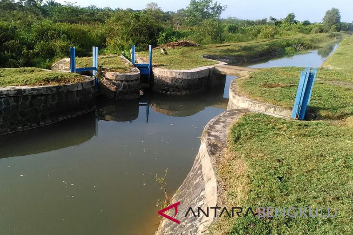 Pemprov Bengkulu rehabilitasi jaringan irigasi rusak di Mukomuko