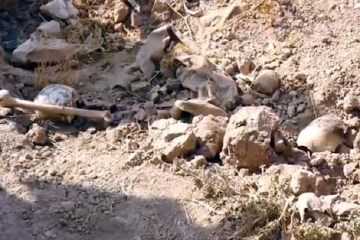 34 mayat dikeluarkan dari kuburan massal di Ar-Raqqah