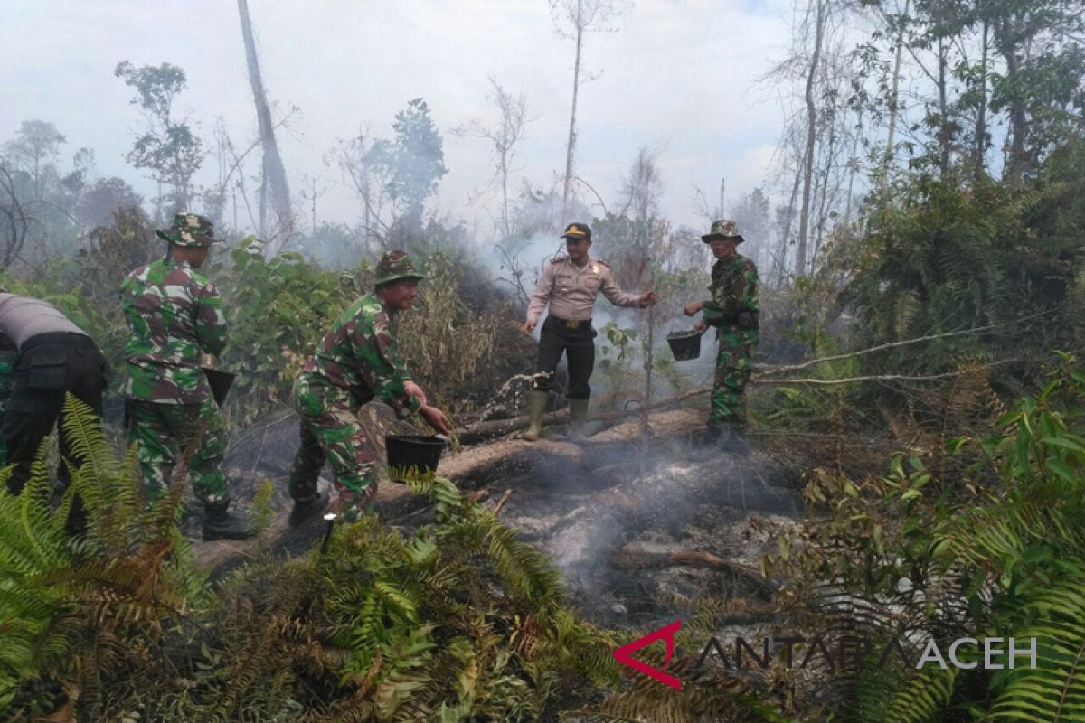 Dandim Aceh Barat pimpin pemadaman kebakaran gambut