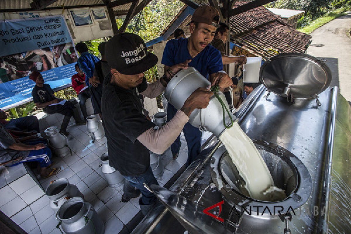 Kementan: Konsumsi susu perlu ditingkatkan