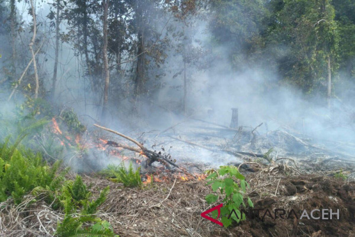 Dua hektare lahan gambut terbakar di Aceh Barat