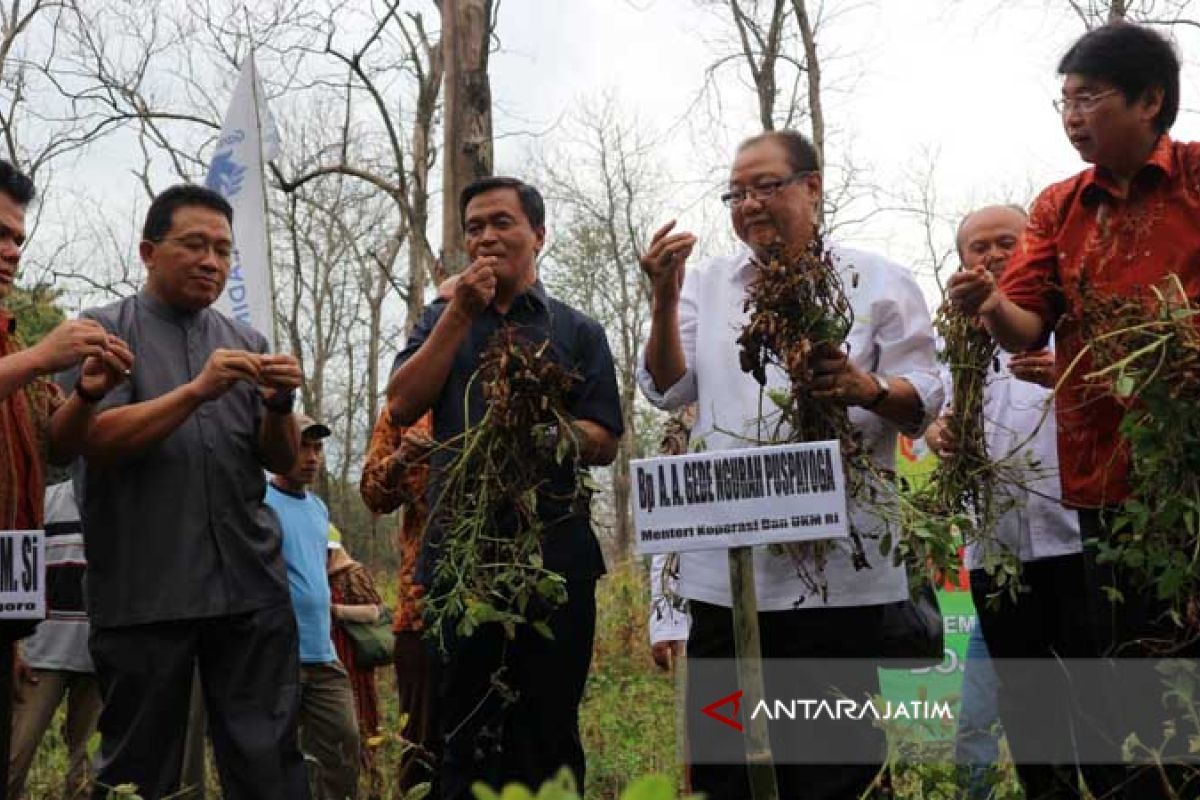 Pertumbuhan Ekonomi Agar Benar Harus Dibarengi Pemerataan Kesejahteraan (Video)