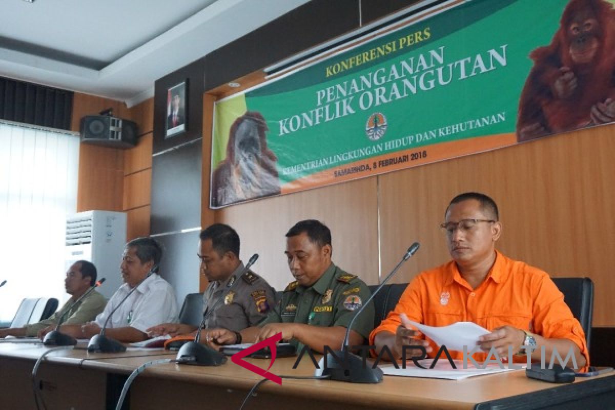 Kematian Orangutan akibat ditembak dari jarak dekat