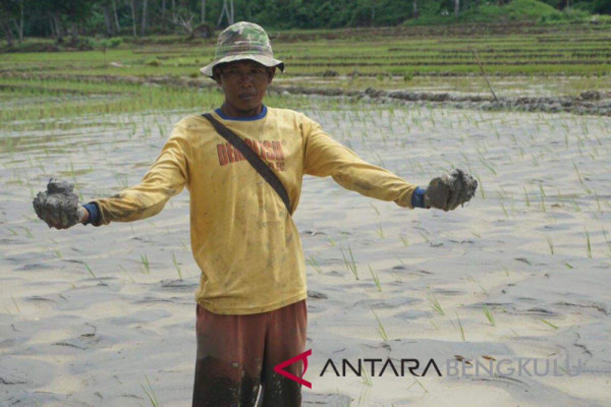 Pemkab Lebong atasi pendangkalan Bendungan Sabo