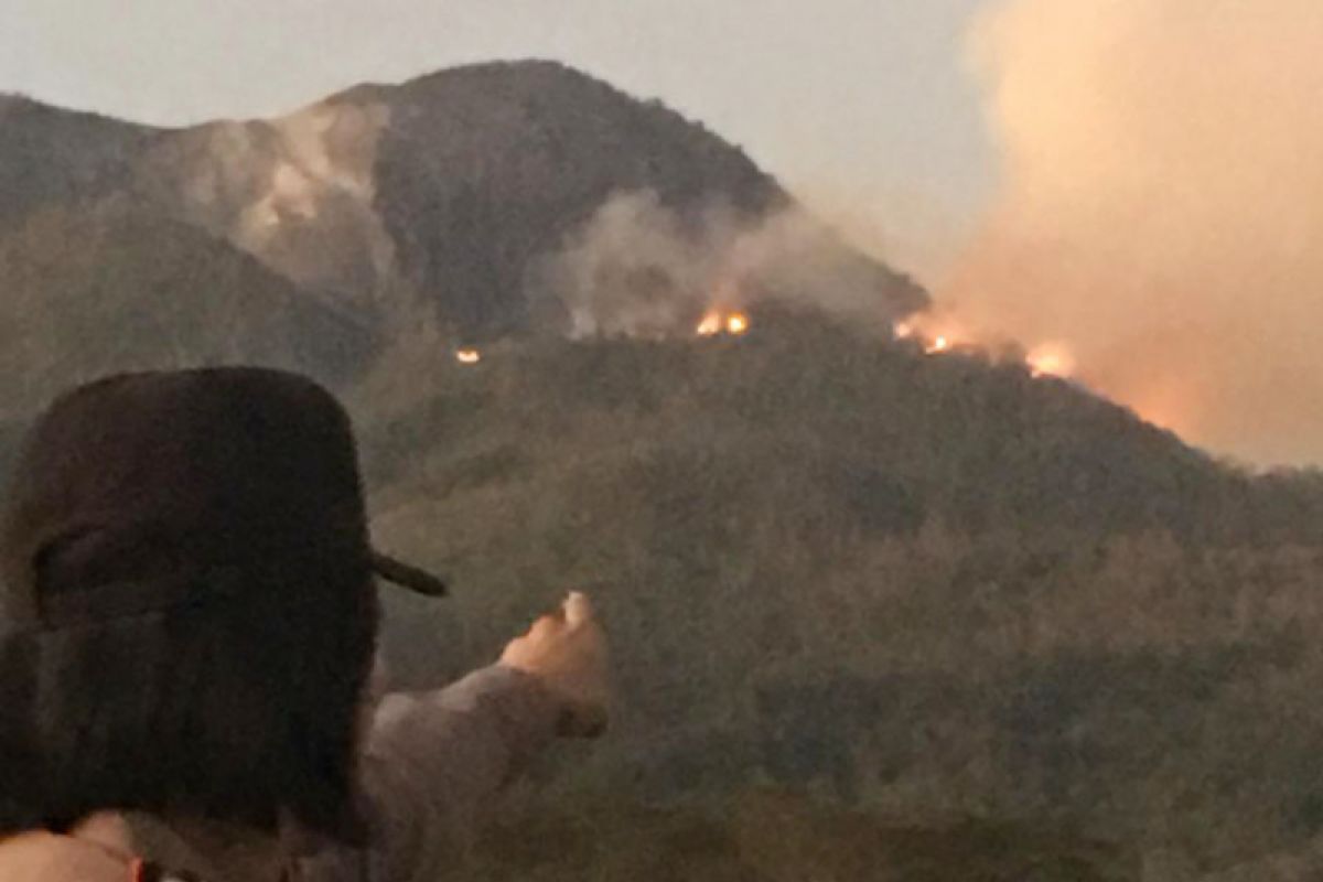 Ini tindakan BPBD dalam menanggulangi kebakaran Gunung Talang