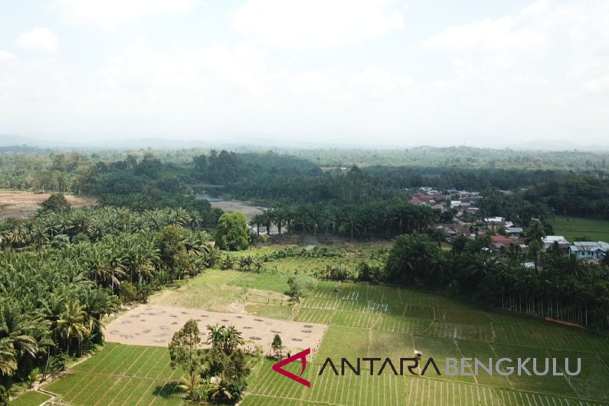 Bengkulu Selatan manfaatkan teknologi tingkatkan jumlah petani