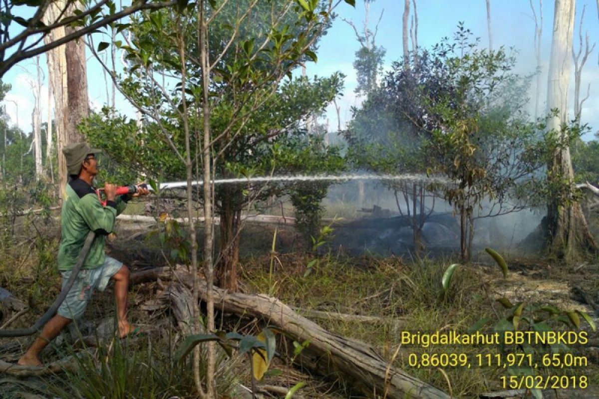 Kawasan Taman Nasional Danau Sentarum Kapuas Hulu terbakar