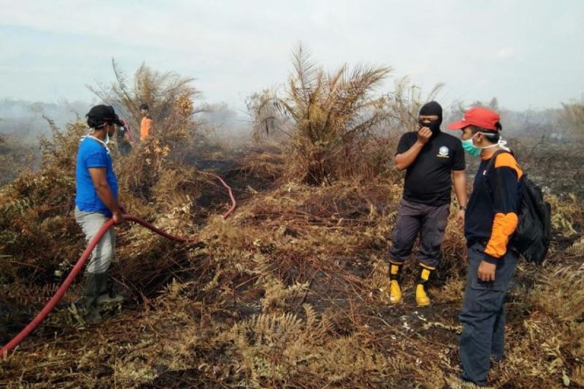 BPBD Kotim imbau masyarakat tak bakar lahan